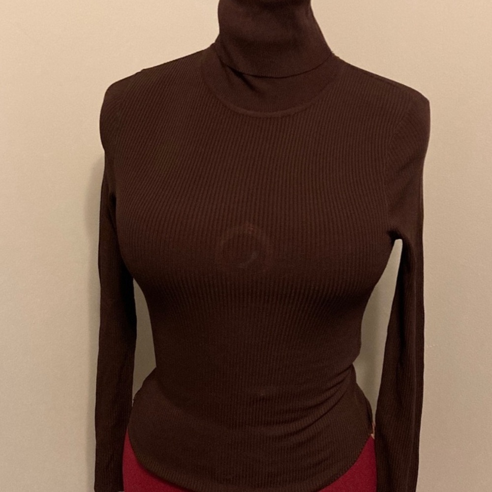 Zara Brown Turtleneck